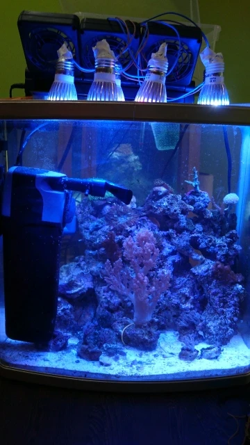 LED Lamp Aquarium Light Aquarium Lamp LED Aquarium Light Fish Tank Reef Coral Bulb E27 Grow Light Fish Aquatic Plants 10W