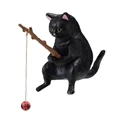Black cat
