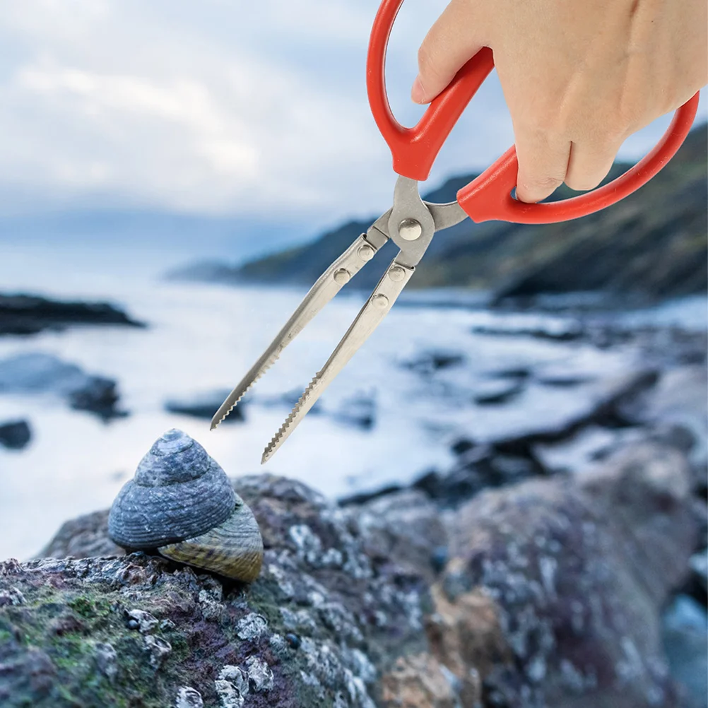 

Tools Crab Food Confetti Loach Tong Sea Stainless Steel Fish Catching Metal Clip