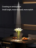 Led Track Light Small Beam Angle 3 8 15 24 Degree Spotlight Exhibition Cabinets Spot Lighting Atmosphere Lamp Foco Art Picture 2