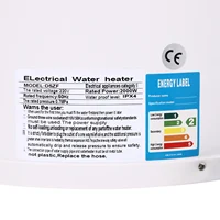 220V 2000W 30L/6.6 Gal chauffe-eau électrique avec douchette à main robinet protecteur de fuite cuisine douche chauffe-eau 5