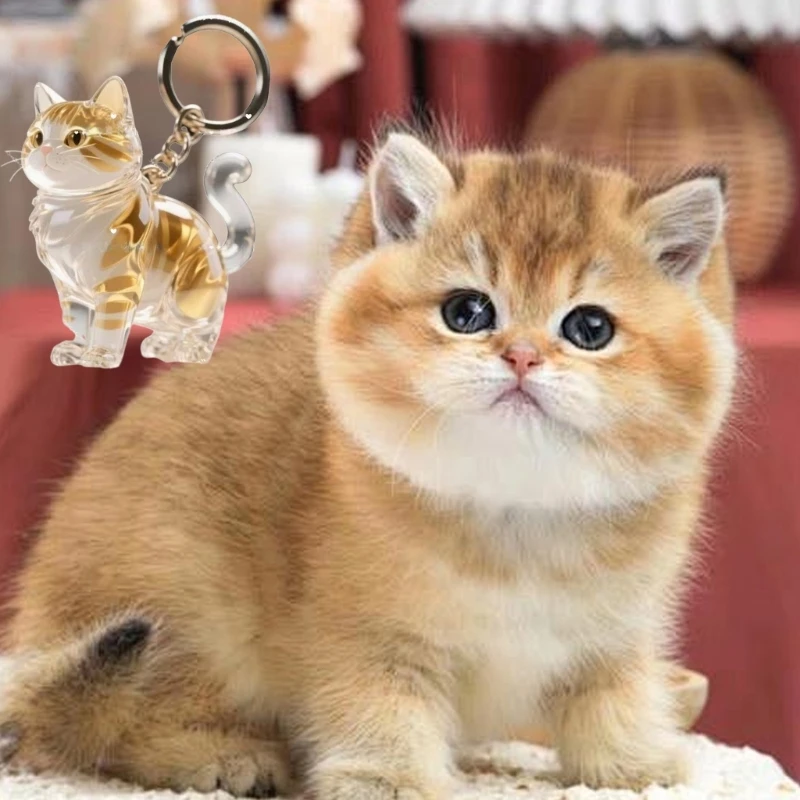 Cute Cat Photocard Holder Pendant Kitten Claw Plush Badge Display Keychain Transparent Badge Ita Bag Goods Display SUNM