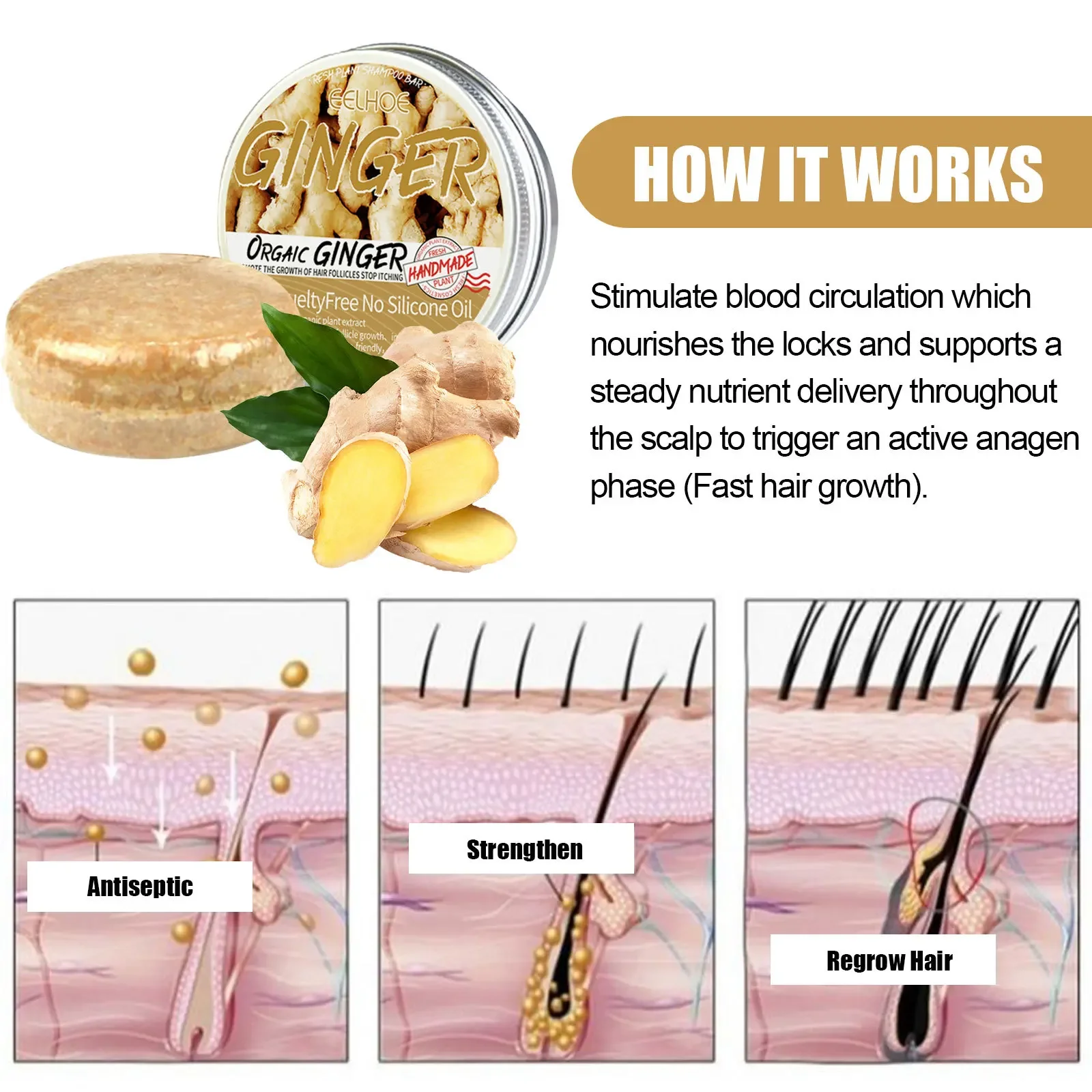 Slide image d345aca45079438a939198e2cd67cdbe