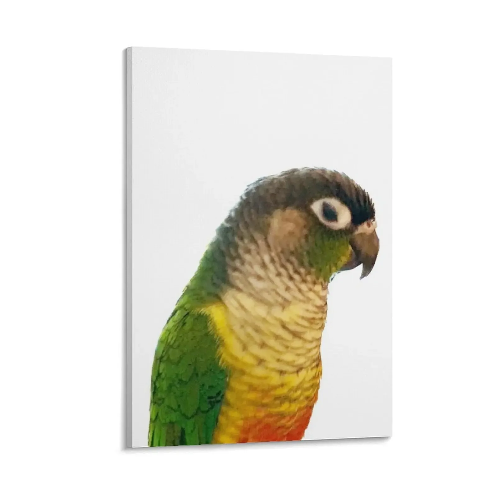 

Green Cheek Conure Canvas Painting Decoration bedroom anime poster