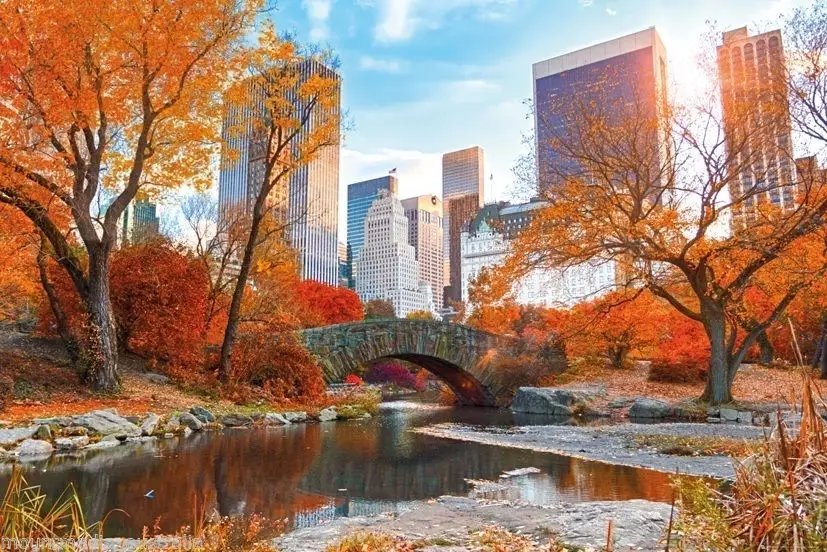 

CENTRAL PARK IN AUTUMN NEW YORK SILK POSTER Wall painting 24x36inch