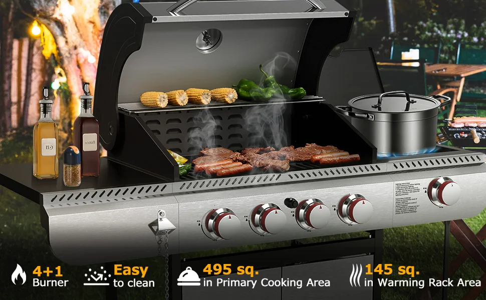 Propane Gas Grill with Cooking Area