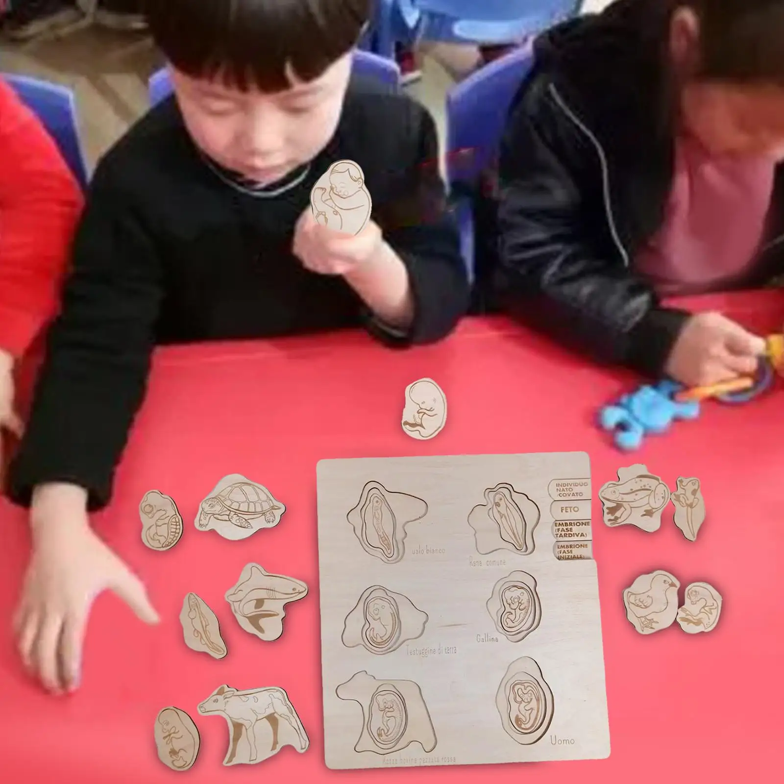 

Wooden Cycle Puzzles Early Educational Toy for Children Birthday Gifts