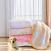Pet Cat and Dog Blanket Coral Velvet Soft and Lint-Free All-Season Double-Sided Velvet Comfortable Pet Dog Pad