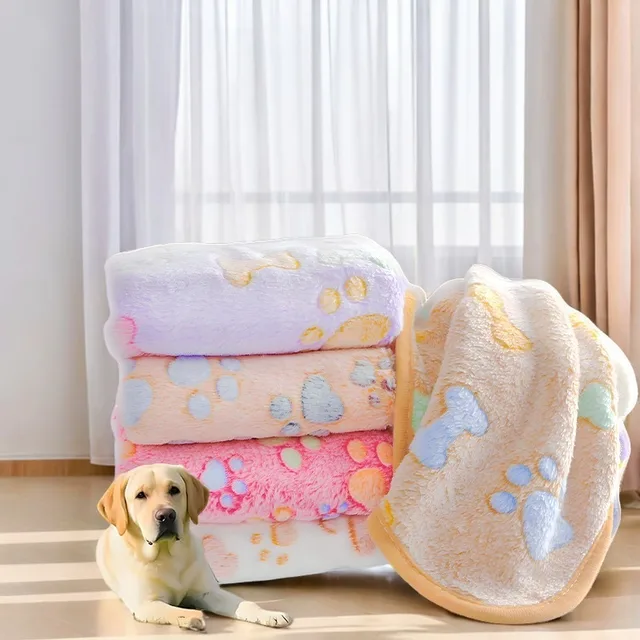 Pet Cat and Dog Blanket Coral Velvet Soft and Lint-Free All-Season Double-Sided Velvet Comfortable Pet Dog Pad