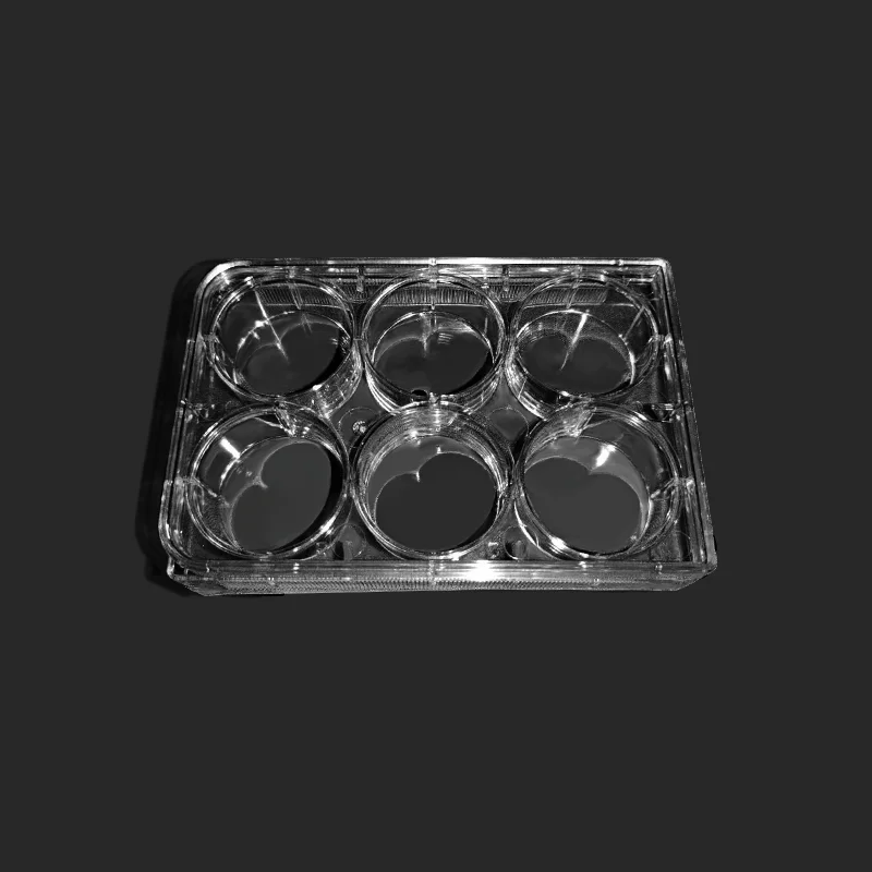 6-Well Cell Culture Platte - 20 Stück Zellkulturplatten Laborzubehör