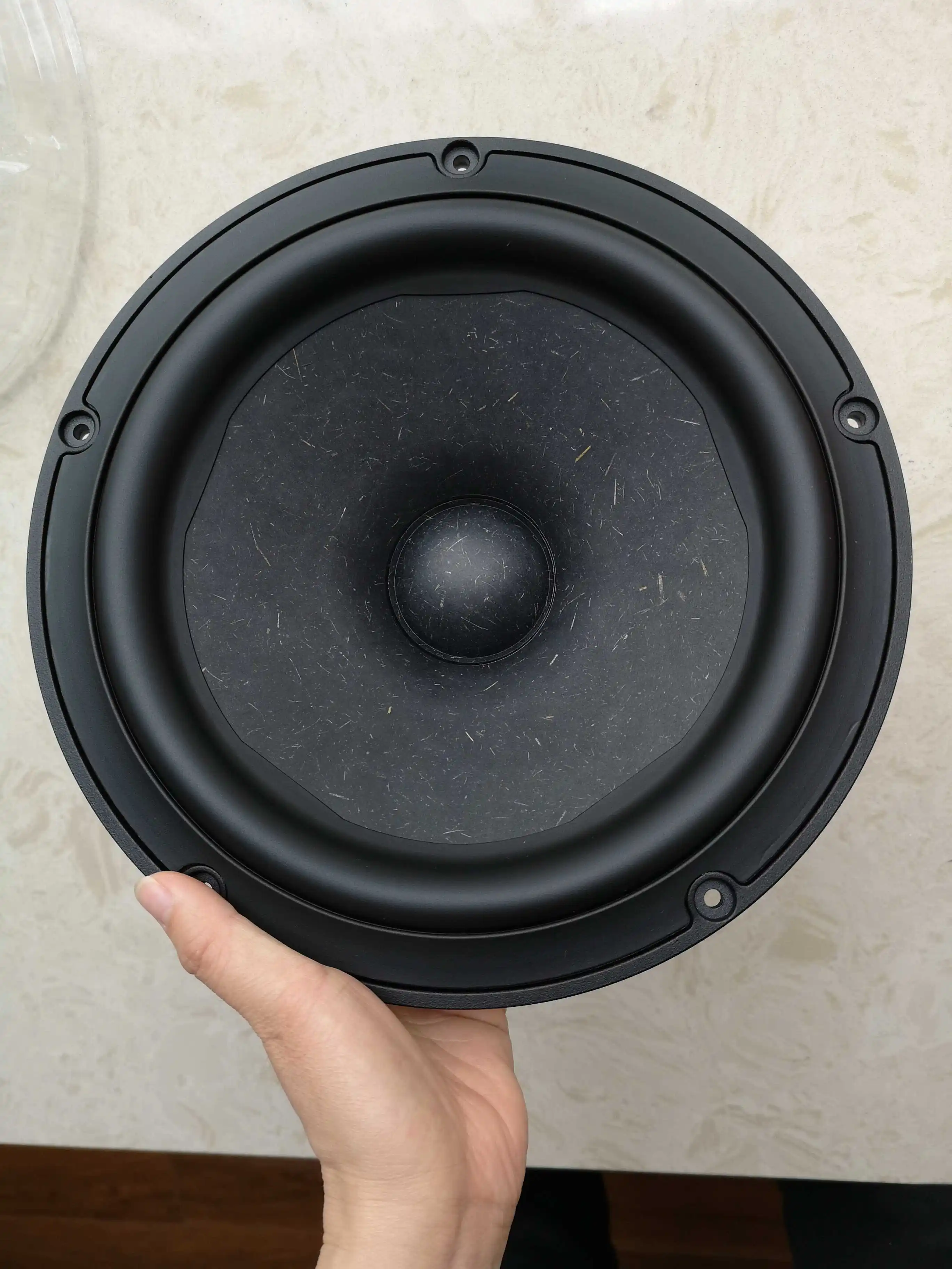 A-1054 Fever Original Denmark Speaker Vifa Ne265 10 inch Mid Bass Speaker Horn 190W 6Ohm 1PCS