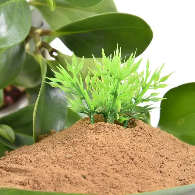 Vízi Tó Talaj Természetes Lótuszszár Tápanyagokkal Növénytermesztési Közegek Vízliliomokhoz Lotus Kertészeti Kellékek - Image 5