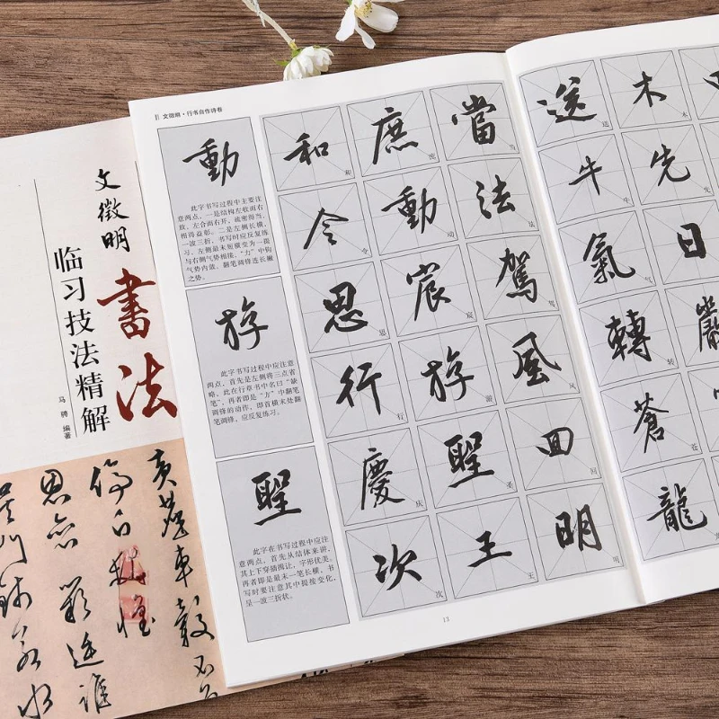 Chinesisches Kalligraphie-Kopierbuch Ouyang Xun Zhao Mengfu Running Regular Script Copy Book Adult Student Calligraphy Copying Tutorial – Detail 17