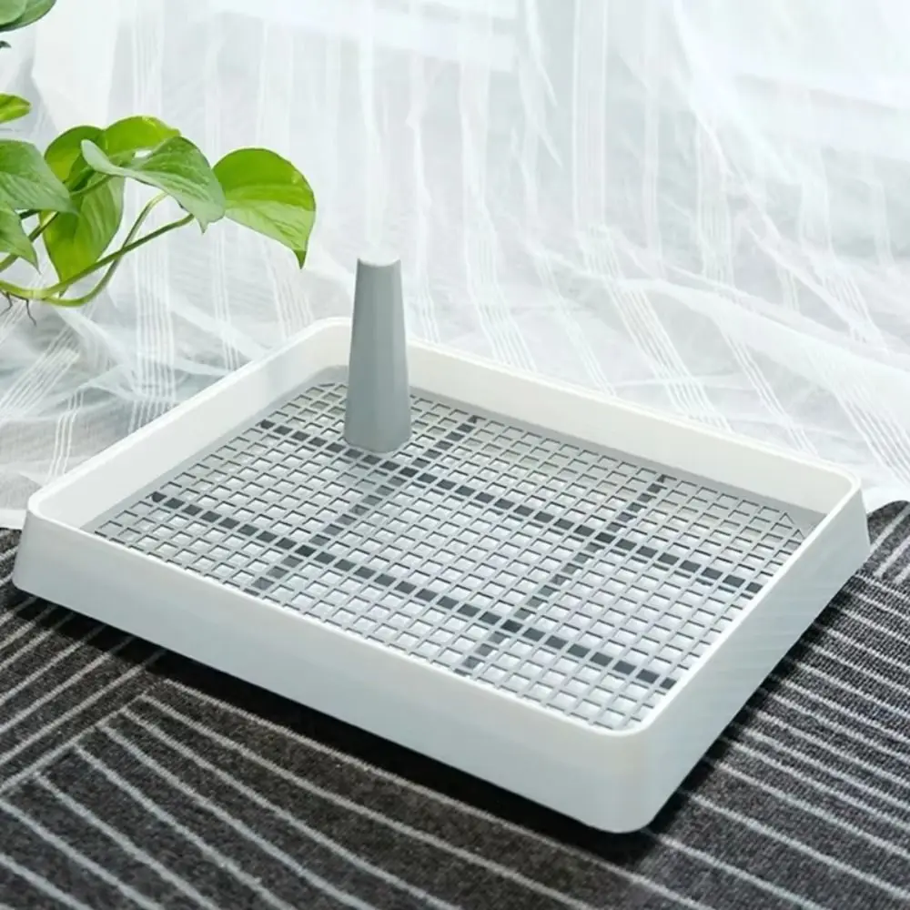 Slide image 637add75ec964e1b8fd81deb0721b74f