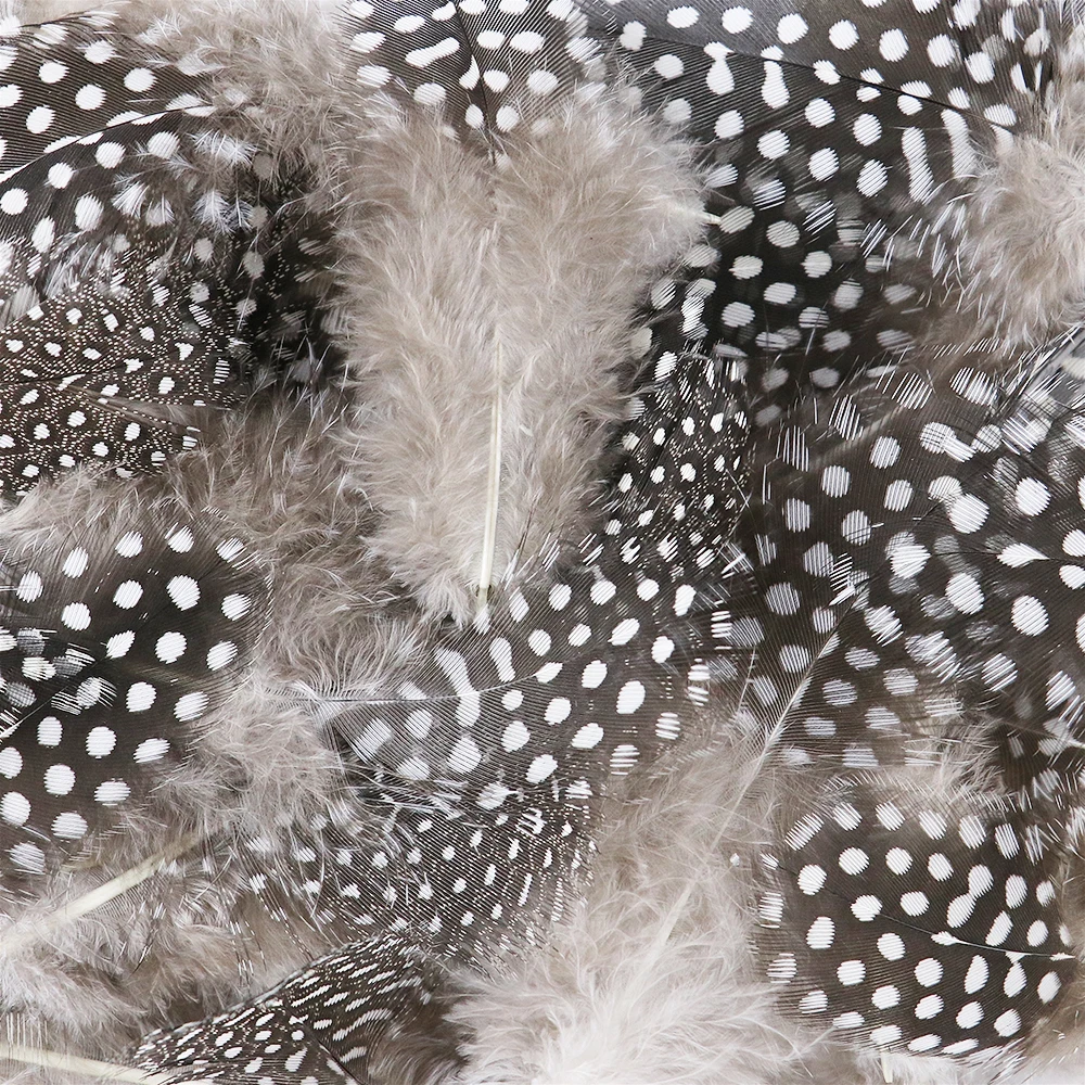 Guinea Fowl Pheasant Feathers 100PCS 5-8cm for Crafts craft feathers,natural feathers,pheasant feathers