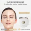 ANLAN Electric Guasha Massager EMS Face Lifting Remove Edema Firming Skin Clod Heat Body Scraping Therapy Skincare Beauty Device 2