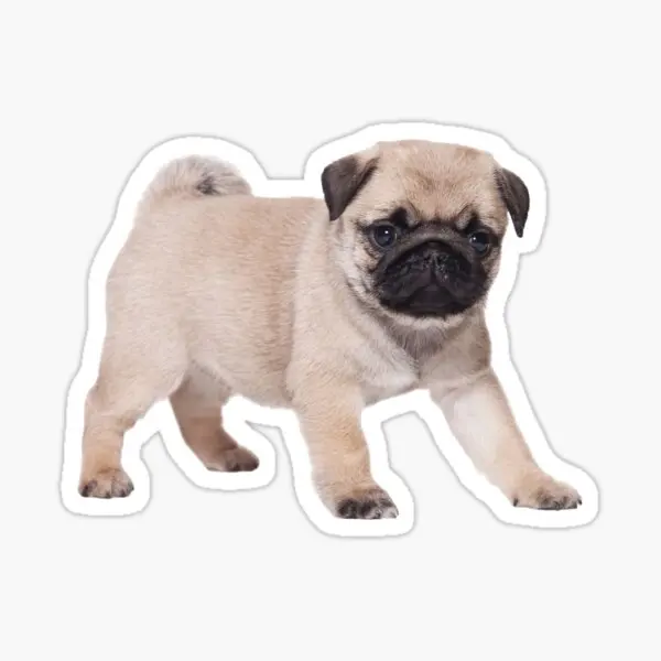 

Pug Baby Type Dog Sticker Car Auto Bonding 17CM A4
