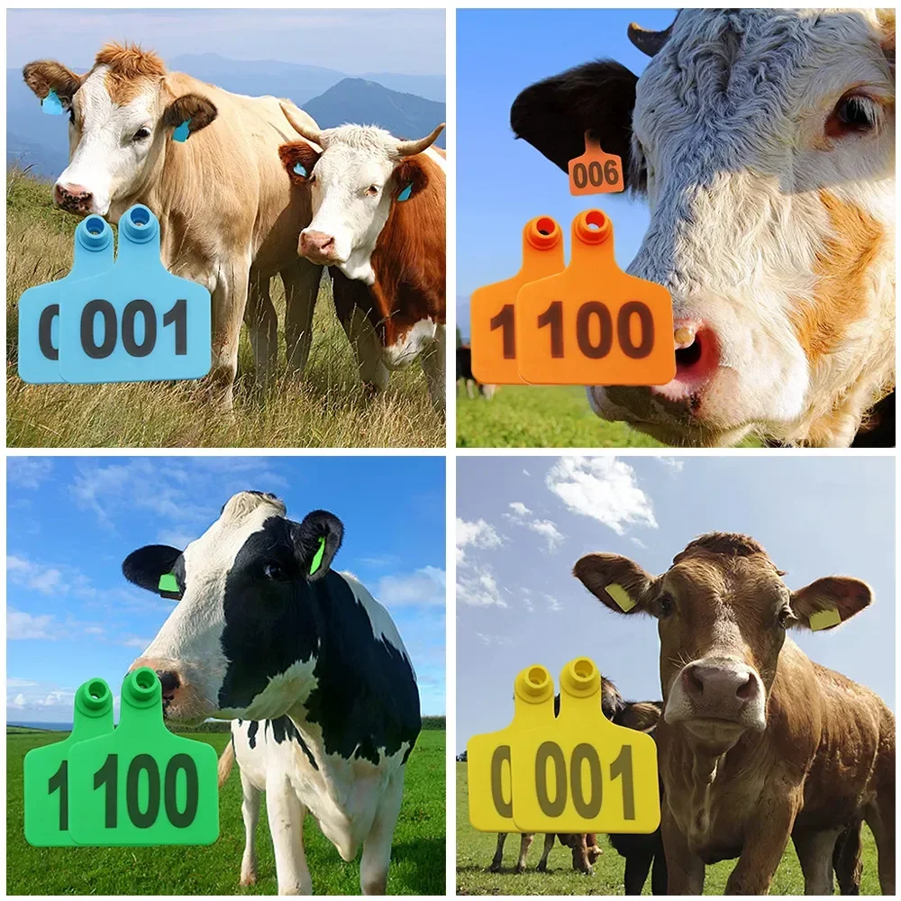 1-100 Cattle Ear Tags Livestock Cattle Marker Applicator Animal Identification Ear Tags for Sheep Calf Cows Tag Pliers