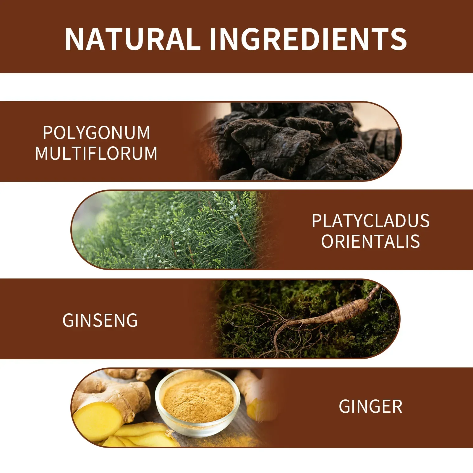 Description Picture 6 of itemSdotter Jaysuing Shampoo Soap Polygonum Multiflorum Essence Repair Natural Black Hair Moisturizing Smooth Hair Care Beauty Produ