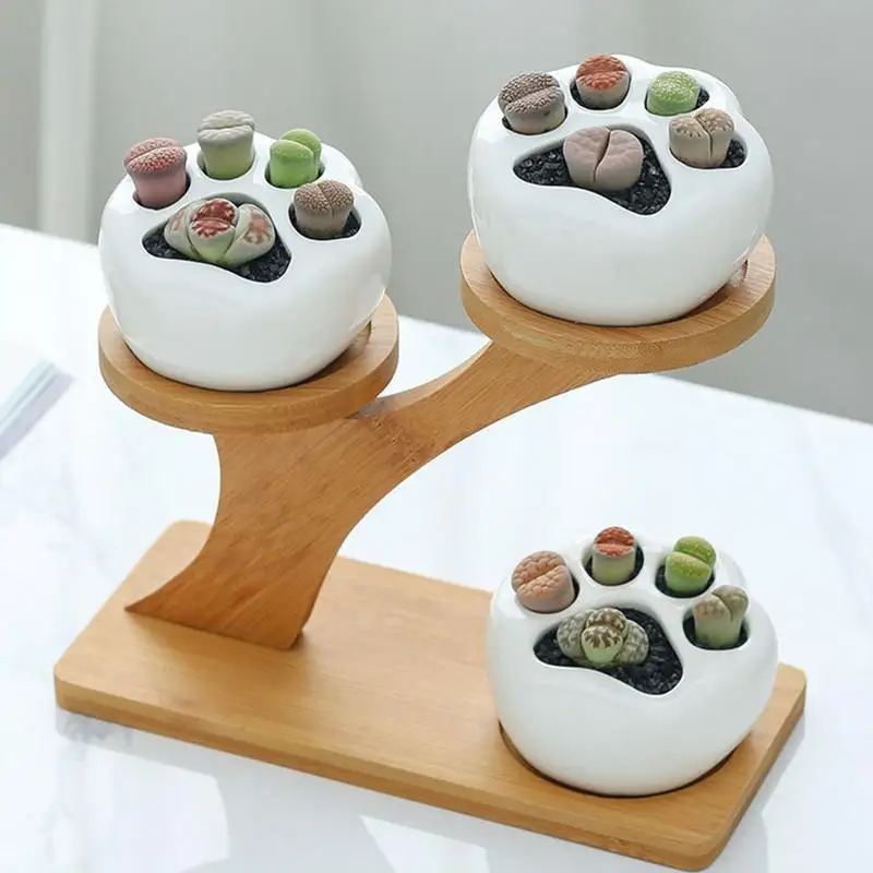 

CRSUSUKJ 3 Tiers Plant Stand Bamboo, Plant Stand Indoor, Tabletop Bamboo Succulent Plant Stand for Window Sill Plant Shelf