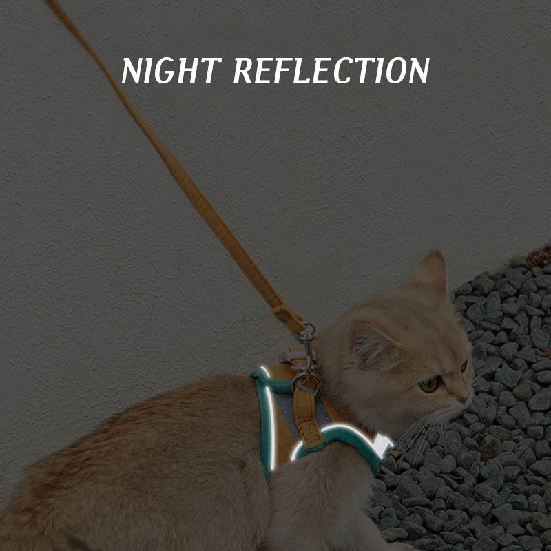 ֿ  ϳ׽    Ʈ,  ̿ Ʒ ȱ ,  Ʈ ϳ׽ Į,    Ʈ,  ϳ׽