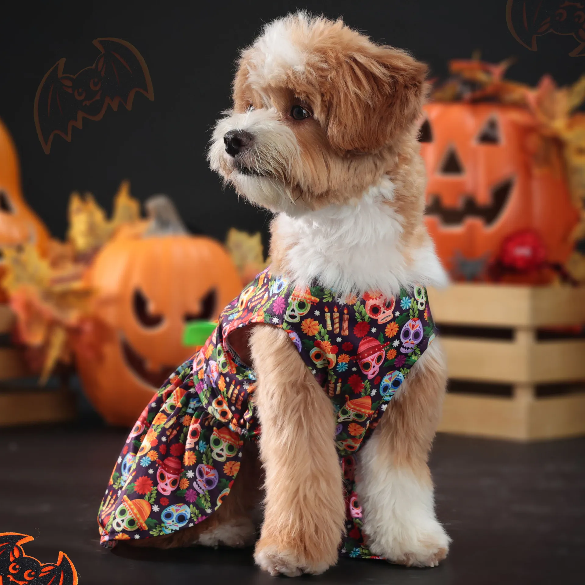 Robe Tête de Mort Amusante Halloween - Tenue Halloween 2024 - 2025 - Vêtement et accessoires pour chiens - Doglovedesign