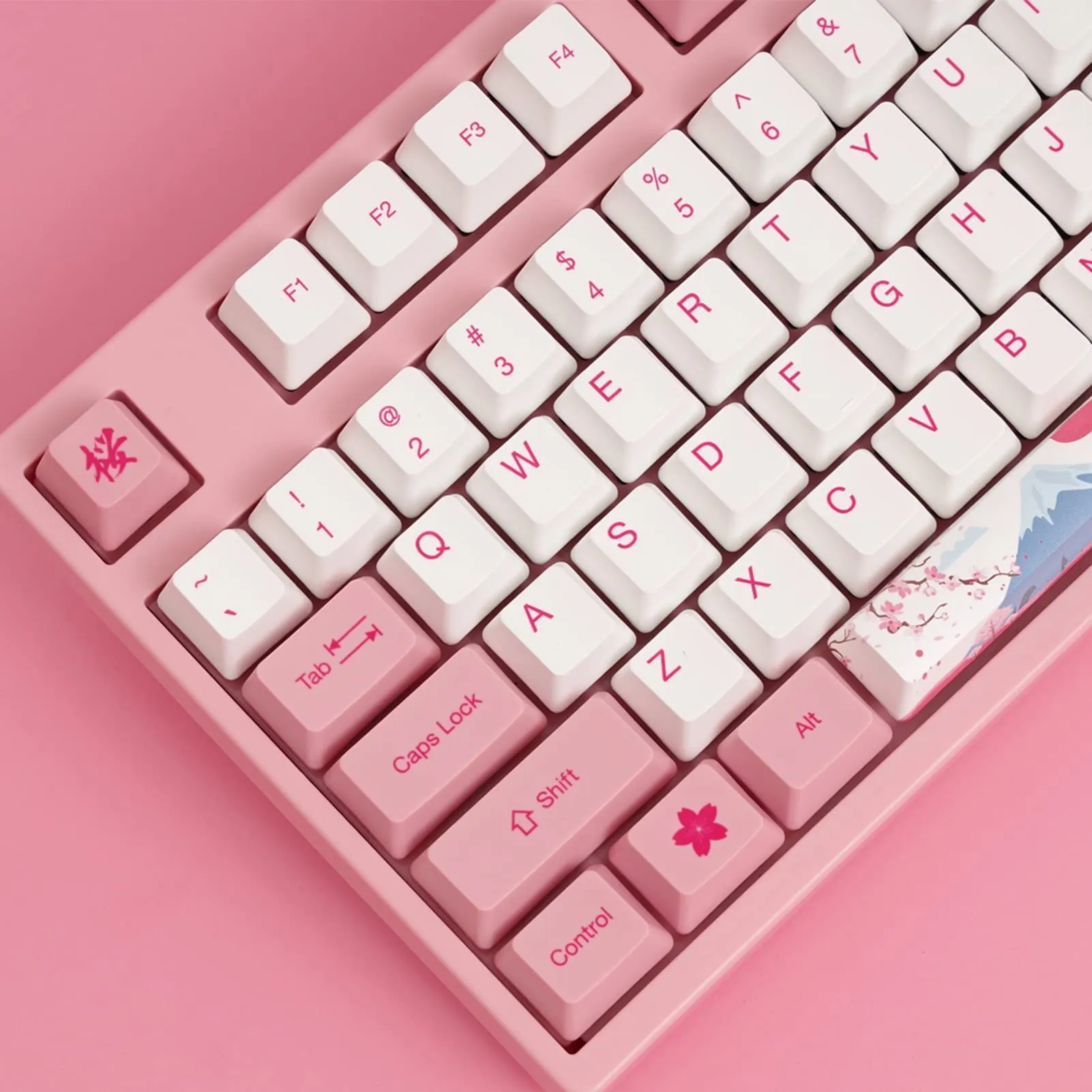 Akko 3087 V2 World Tour-Tokyo R1 Mechanical Gaming Keyboard Wired