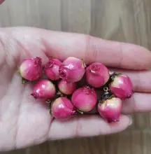  New  Epoxy Resin Real Rose Flower Pendant DIY Jewelry Finding 