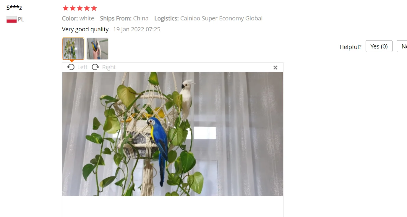 Description Picture 5 of item25cm Handmade Simulation Parrot Creative Feather Lawn Figurine Ornament Animal Bird Garden Prop Decoration 12/13/14/15/16CM