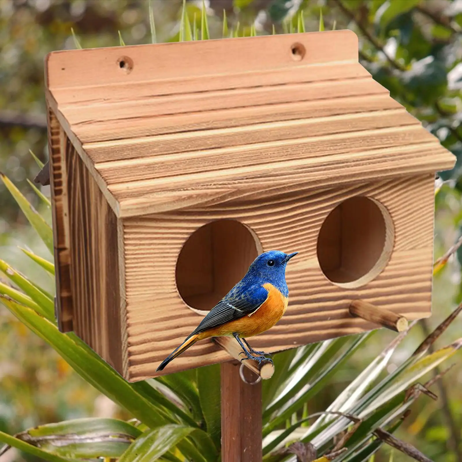 Bluebird Wooden House Outside-, Outdoor And Weatherproof Birdhouse with 