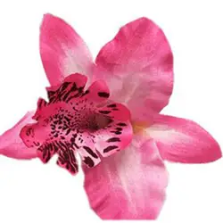 Elegant Bridal Rose Hairpins - Vibrant Floral Wedding & Vacation Hair Accessories (9)