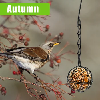 Wild Bird Feeders Metal Suet Ball Bird Feeder Set with Hanging Chain Squirrel Proof for Outdoor Garden Hummingbird Feeders - Image 5