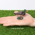 Mallard
