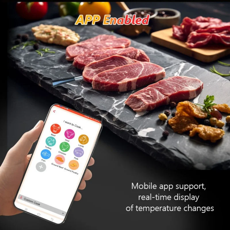 Wifi Food Thermometer Ceramic Probe Kitchen Oven Meat thermometers IP67 Waterproof Digital Display Wireless Bluetooth BBQ 5