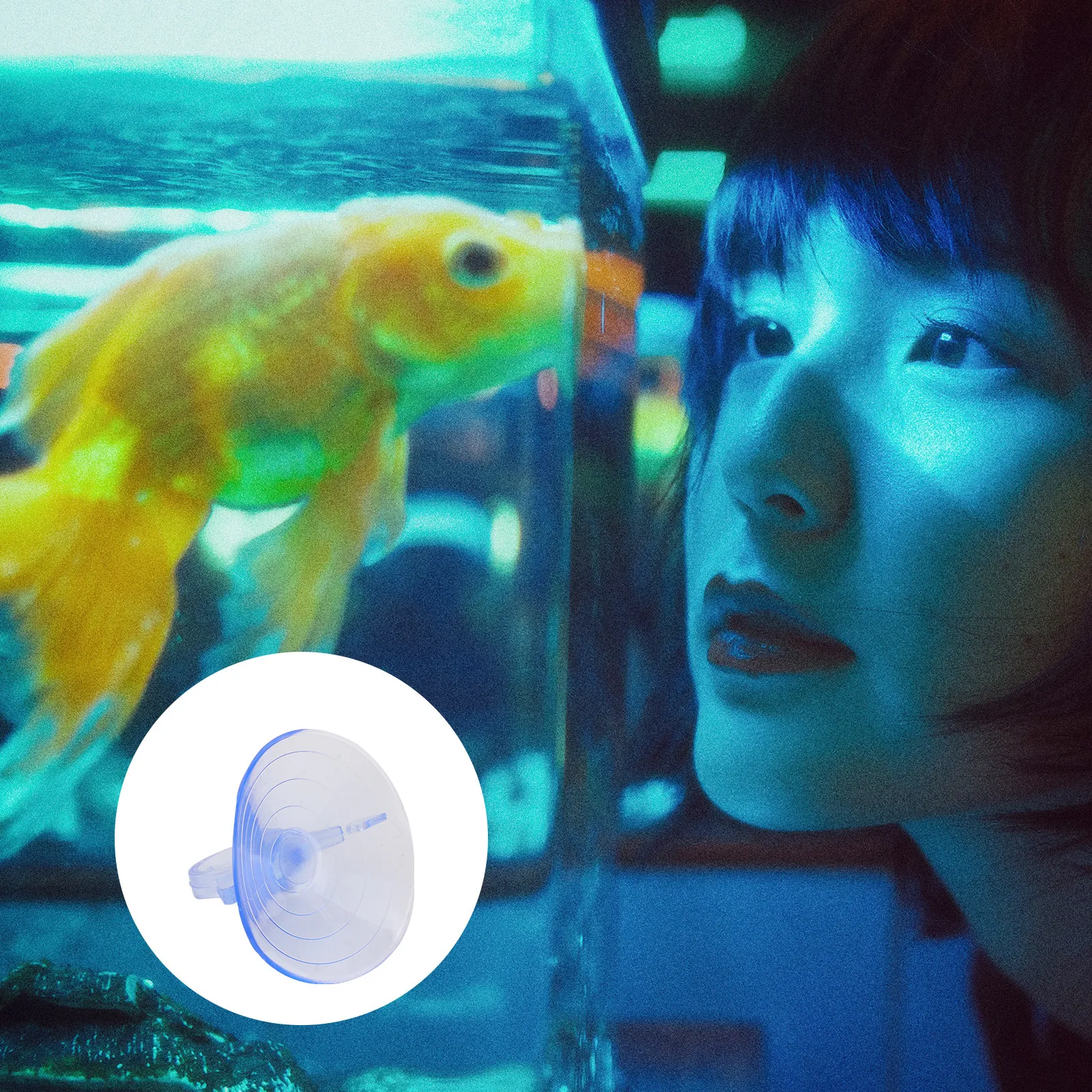 12Pcs PVC 물고기 탱크 고정 유리 흡착판 45Mm 풀 링 흡입 컵 진공 흡입..