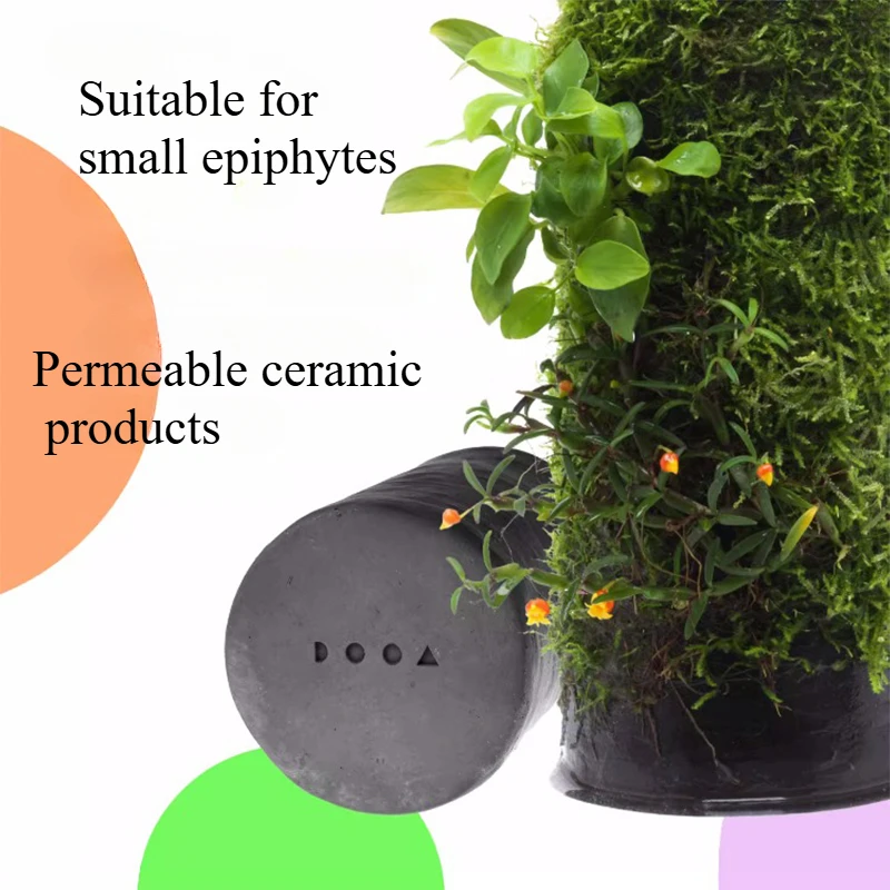 ADA DOOA Tree Culture Medium Epiphytic Plants Orchid Moss Office Desktop Permeable Bundled Micro Landscape