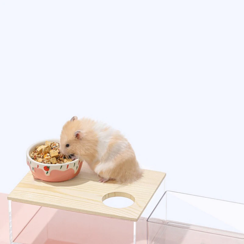 Hamster Sand Bath Shower Box Dwarf Chinchilla Sauna Room Acrylic Digging Sand Container Small Animals Bathroom Toilet small animal bath house