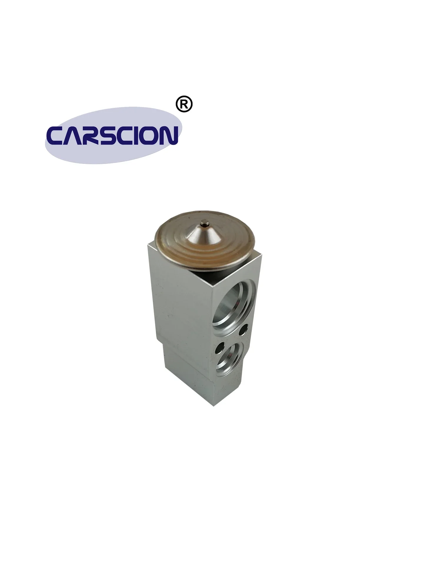 CARSCION Expansion Valve,Fit VOLVO S60,V60,XC60,S80,V70/III/Mk,XC70,Land Rover,Freelander 2,31291817,30780313,30733930,DXV0020