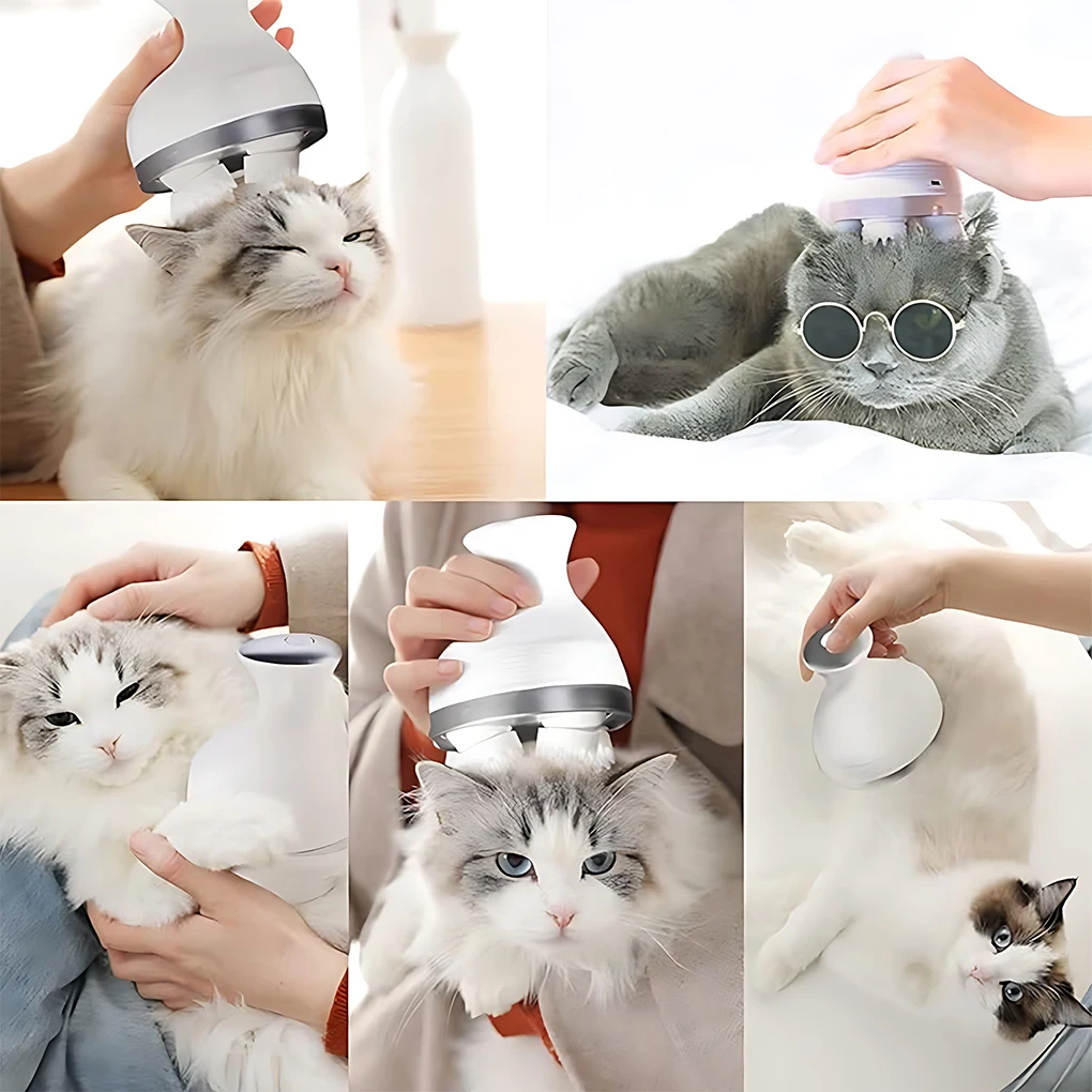 

Convenient And Portable Head Massager Scalp For On Go Relaxation Multifunctional Cat Head Massager