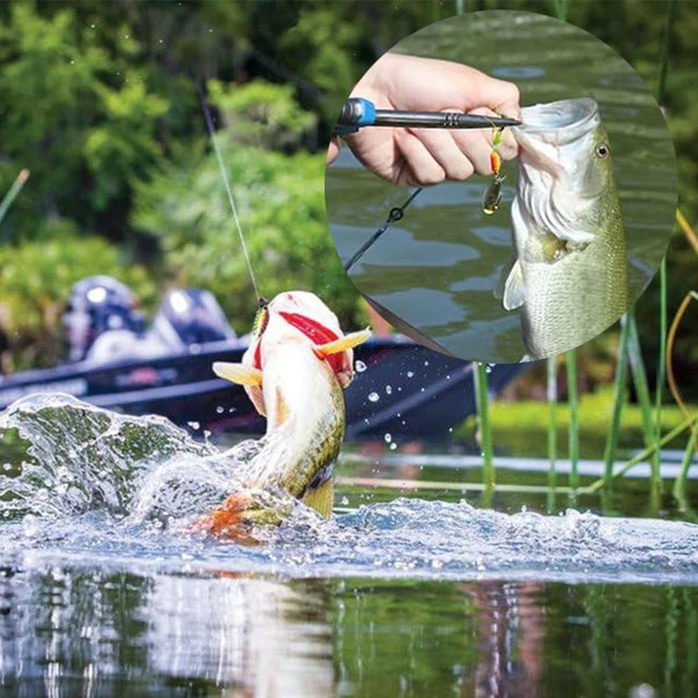 Spin Jig Metal Baits Spoon Fishing Lures Rotating Sequins 3.5g 5.3g  Artificial Bait Fishing Tackle Goods for Bass Trout Crappie - AliExpress
