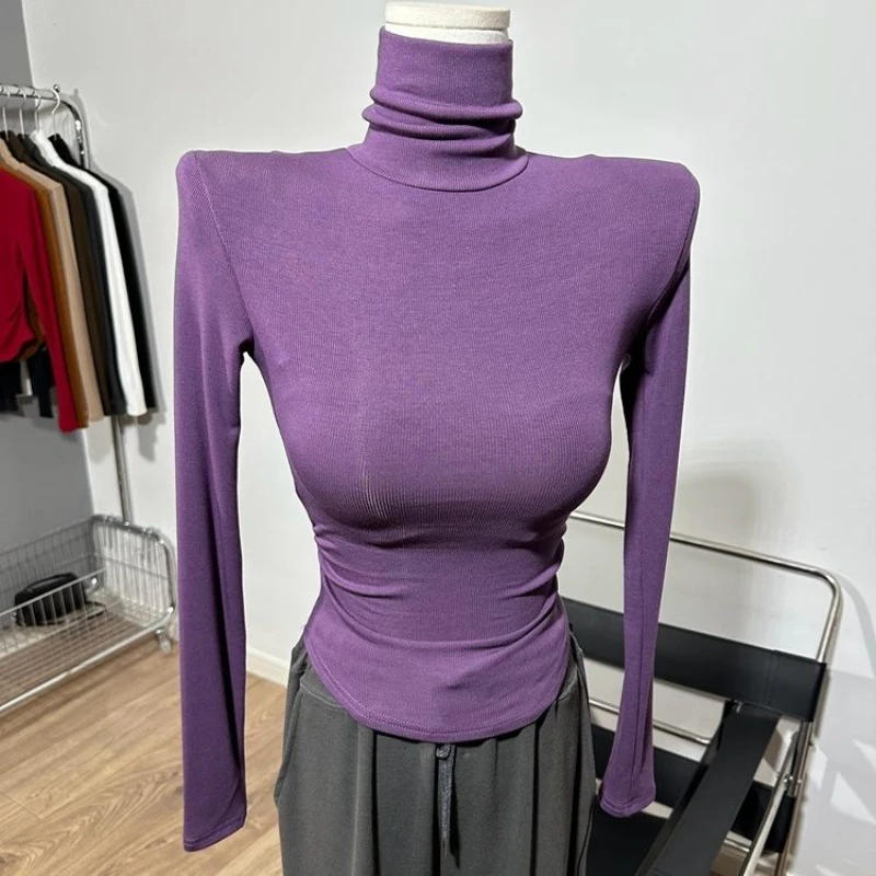 

Оптовая продажа, осенне-зимние футболки с высоким воротником, женские футболки с длинным рукавом и флисовой подкладкой, облегающий Топ, Женская однотонная короткая футболка