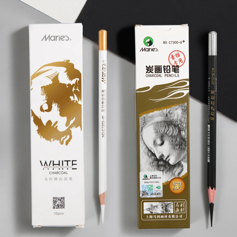 12pcs/Box Charcoal Art Student White Highlighting Sketching Pencil Set Student Drawing Sketching Black Charcoal Pencil