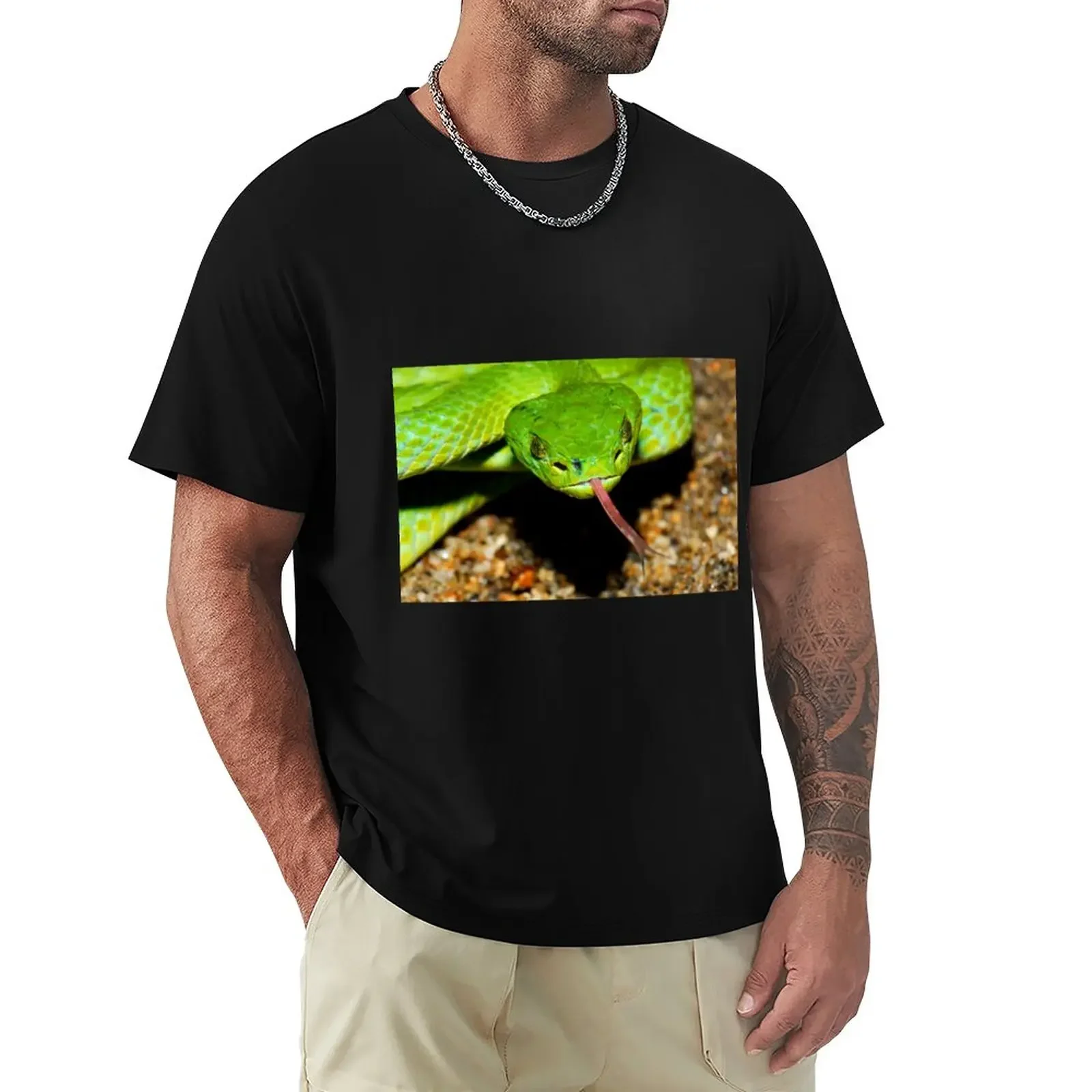 T-Shirt Emerald Palm Viper Ad Asciugatura Rapida Customs Sports Fans Sublime Mens Plain T-Shirt