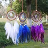 Natural Crystal Handmade Dream Catcher with Feathers Amethyst Citrine Lapis Lazuli Red Agate Raw Chip Stone Car Hanging Ornament 2