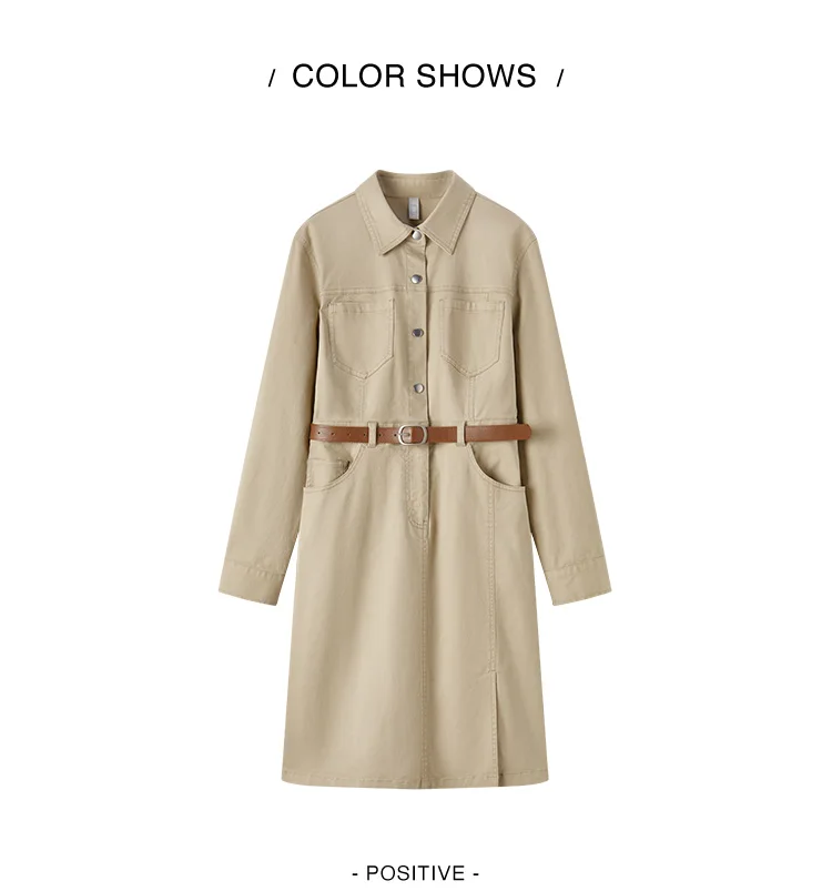 Dress Women Slit Lapel Vintage 2025 Spring New Waist-cinching Workwear Dress