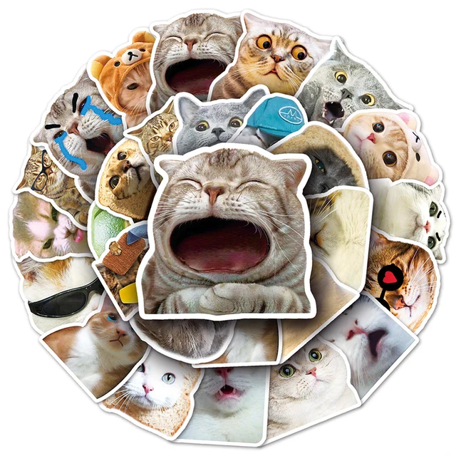 100 Katzen Aufkleber - Wasserdichte Vinyl Sticker Für Laptop & Flasche
