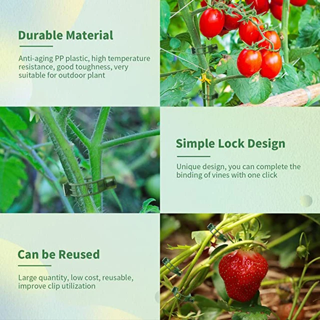 100 Darabos Növényi Klipek Újrahasznosítható Rögzítő Műanyag Szőlőkötegek Támogatják A Szerszám Kertészkedelmezőinek Rögzítését Zöldség Paradicsomhoz - Image 6