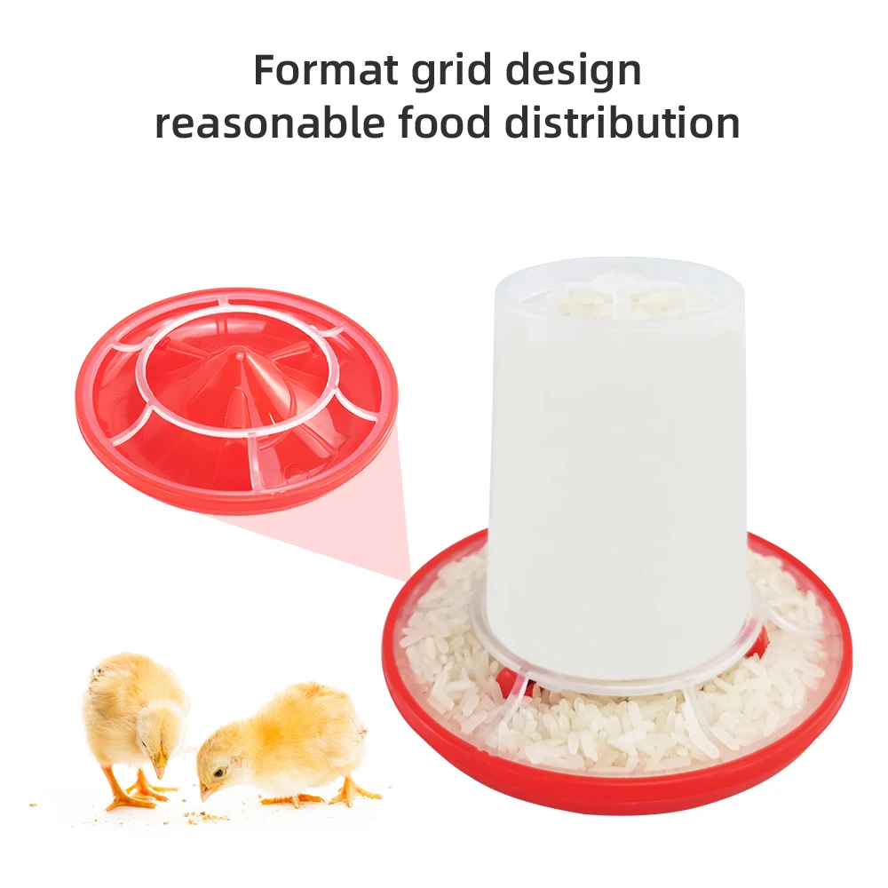 dsc-products