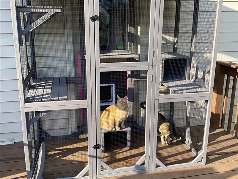 cat enclosure for multiple cats