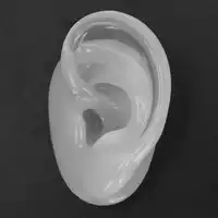 Modèle d'oreille humaine en Silicone Transparent, accessoire d'exposition de prothèses auditives, outil de démonstration d'enseignement, outil d'exercice d'impression d'oreille 3